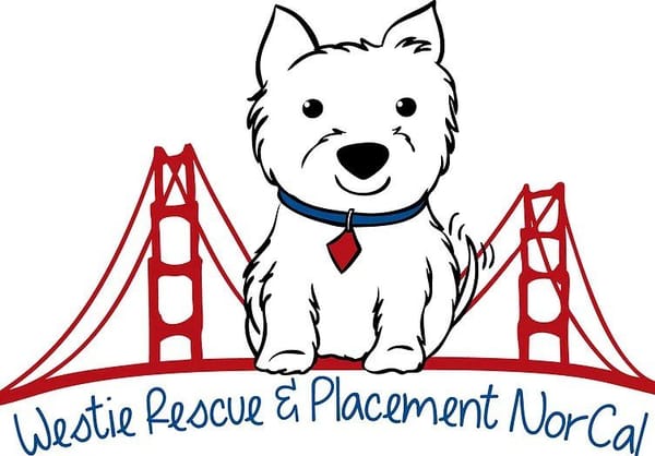 PAWCon 2026 Charity - WRAP